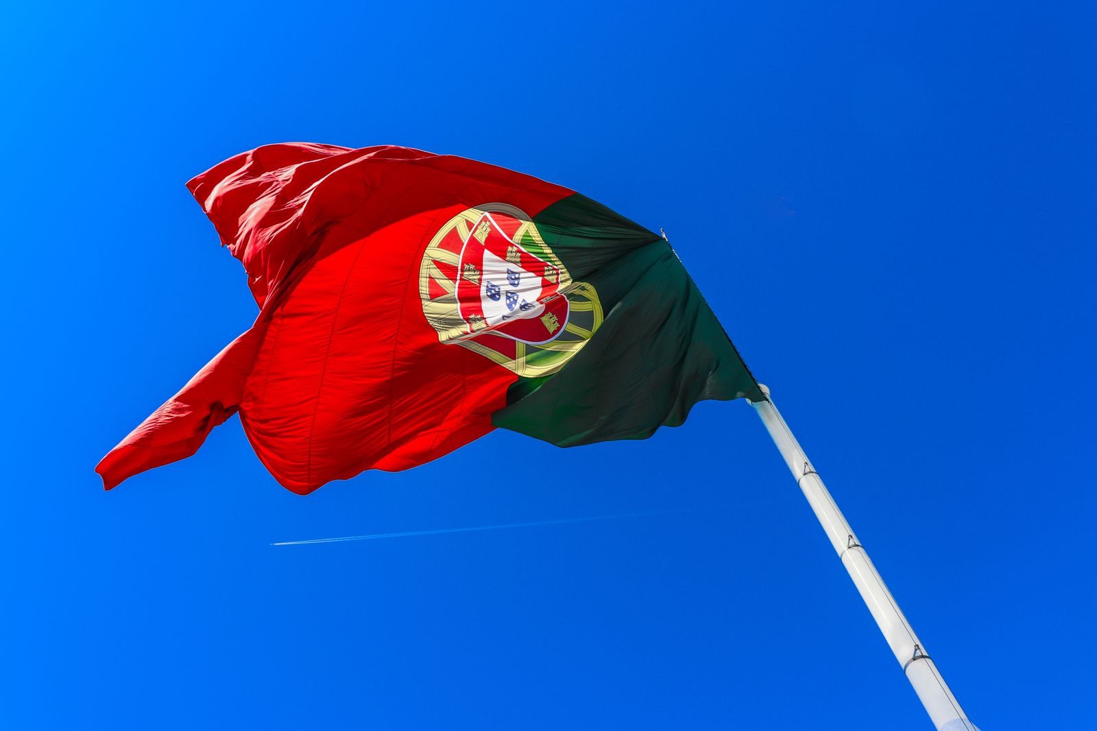 Que empresas estão a contratar em Portugal (e como abordá-las)